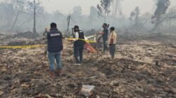 75 Hektare Lahan HGU PT Pinang Witmas Abadi Terbakar