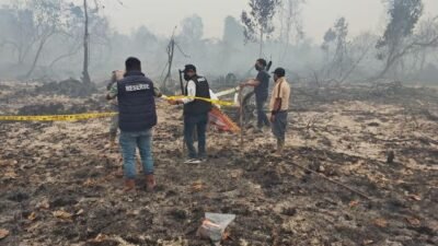 75 Hektare Lahan HGU PT Pinang Witmas Abadi Terbakar