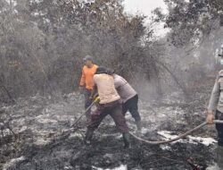Hujan Masih Timbulkan Asap. Tim Suntikan Tanah Gambut Dengan X-Fire