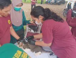 Kubu Raya Kekurangan Dokter Hewan
