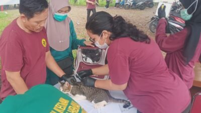Kubu Raya Kekurangan Dokter Hewan