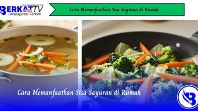 Cara Memanfaatkan Sisa Sayuran di Rumah