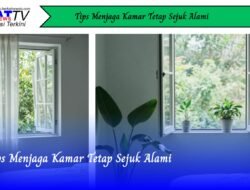 Tips Menjaga Kamar Tetap Sejuk Alami