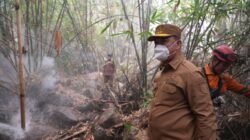 Heli Chinook Jepang Padamkan Karhutla di Hutan Lindung Ketapang dan KKU Terbakar