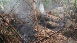 Karhutla di Hutan Lindung Bukit Peramas