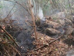 Karhutla di Hutan Lindung Bukit Peramas