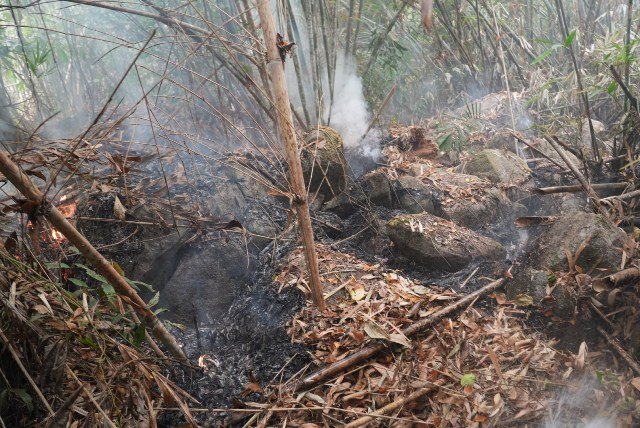 Karhutla di Hutan Lindung Bukit Peramas
