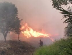 Anggaran Karhutla Kubu Raya Rp20 Miliar Belum Digunakan. Petugas Damkar Dapat Insentif