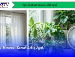 Tips Membuat Rumah Lebih Sejuk