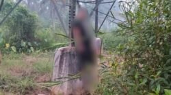 Warga Jawa Timur Tewas di Tower SUTET