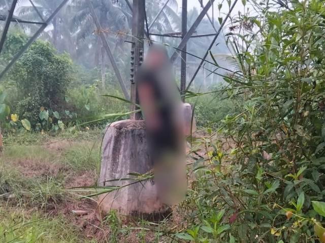 Warga Jawa Timur Tewas di Tower SUTET