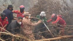 Kubu Raya Setiap Hari Dikepung Karhutla