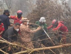 Kubu Raya Setiap Hari Dikepung Karhutla