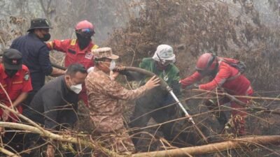 Kubu Raya Setiap Hari Dikepung Karhutla
