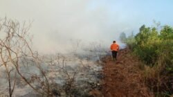 Kejati Kalbar Hanya Proses Tiga Perkara Karhutla