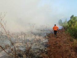 Kejati Kalbar Hanya Proses Tiga Perkara Karhutla