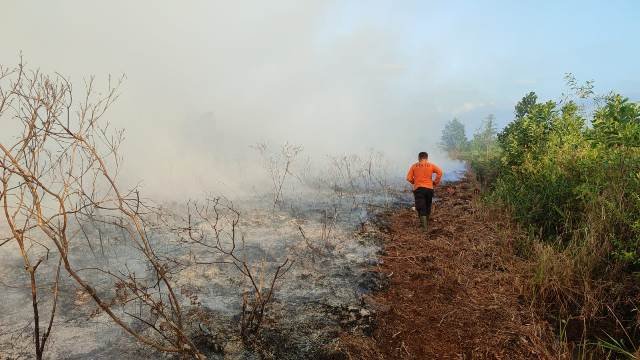 Hingga sampai hari ini, Kejaksaan Tinggi Kalimantan Barat hanya memproses tiga perkara kebakaran hutan dan lahan (karhutla) di Kalbar.