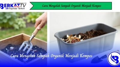Cara Mengolah Sampah Organik Menjadi Kompos