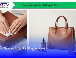 Cara Merawat Tas Kulit Agar Awet