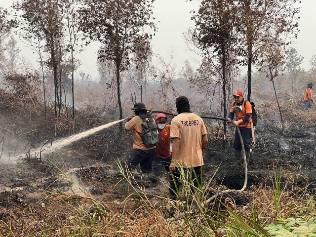 Empat Kabupaten di Kalbar Tidak Dapat Bantuan Karhutla dari Pusat