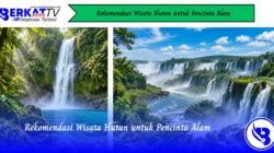 Rekomendasi Wisata Hutan untuk Pencinta Alam