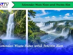 Rekomendasi Wisata Hutan untuk Pencinta Alam