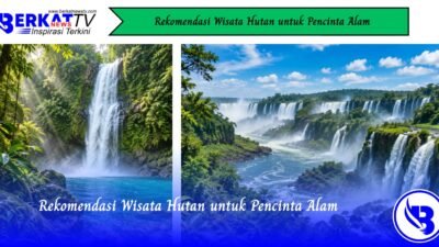 Rekomendasi Wisata Hutan untuk Pencinta Alam