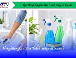 Tips Menghilangkan Bau Tidak Sedap di Rumah