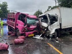 Dua Truk Adu Banteng, Supir Tewas di Tempat