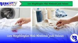 Cara Menghilangkan Noda Membandel pada Pakaian