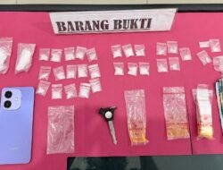 Pasutri Tertangkap Basah Bawa Sabu dan Ekstasi