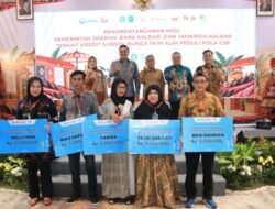 Pemprov Kalbar Subsidi 50 Persen Biaya Penjaminan dan Bunga Kredit UMKM
