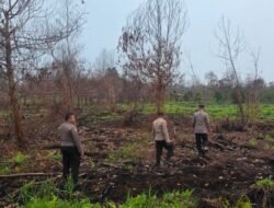 Eks Lahan Karhutla Ditanami 100 Ribu Pohon Matoa