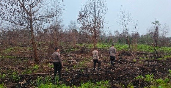 Eks Lahan Karhutla Ditanami 100 Ribu Pohon Matoa