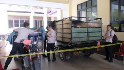 Dalam kurun Waktu 1 - 27 Oktober 2026, Polda Kalbar bersama jajaran Polres telah menangkap 29 orang yang terlibat dalam mafia BBM dan gas di Kalbar. Foto: ist/berkatnewstv