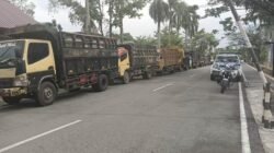 Organda Kalbar Persilahkan APH Tangkap Oknum Anggota Menjadi Mafia Solar Subsidi